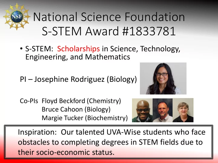 national science foundation s stem award 1833781