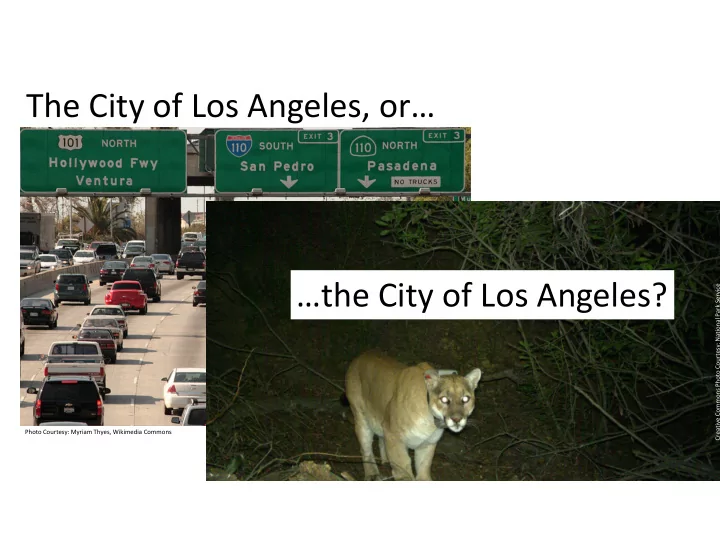 the city of los angeles or the city of los angeles
