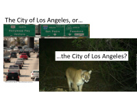 the city of los angeles or the city of los angeles