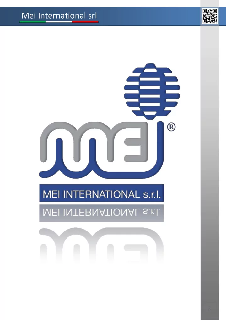 mei international srl