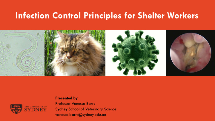 infection control principles for shelter workers