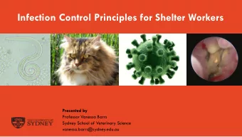 Infection Control Principles for Shelter Workers  Presented by  Professor Vanessa Barrs  Sydney