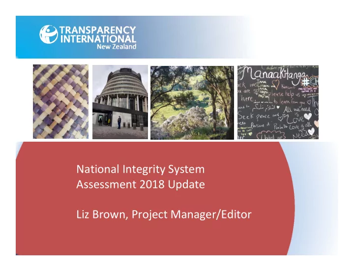 national integrity system assessment 2018 update liz