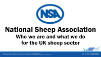national sheep association