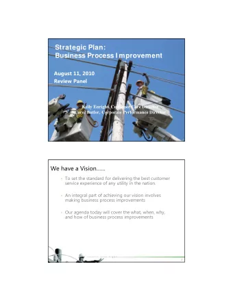 Strategic Plan:  Business Process I mprovement  August 11, 2010  Review Panel  Kelly Enright,