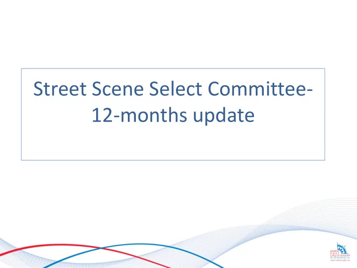 12 months update scope of work by select committee