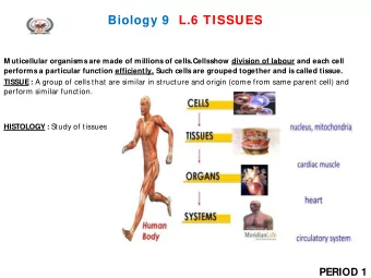 Biology 9  L.6 TISSUES  M uticellular organisms are made of millions of cells.Cells  show division
