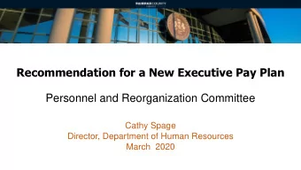 Recommendation for a New Executive Pay Plan  Personnel and Reorganization Committee  Cathy Spage