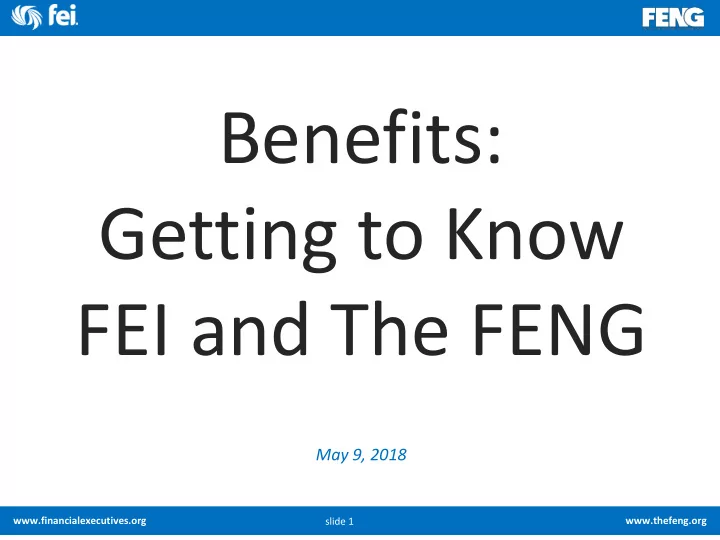 fei and the feng