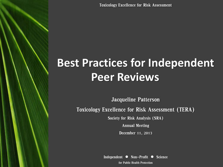 best practices for independent peer reviews