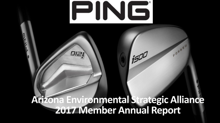 aesa member annual report 2015 ping inc leadership