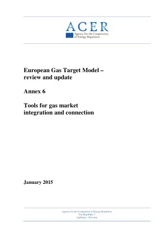 European Gas Target Model   review and update  Annex 6  Tools for gas market  integration and