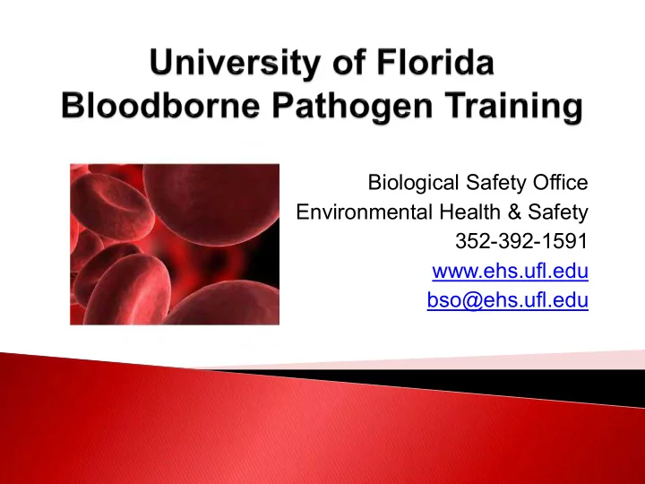 environmental health safety