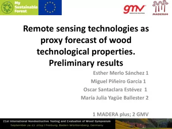 Esther Merlo Snchez 1 Miguel Pieiro Garca 1  Oscar Santaclara Estvez  1  Mara Julia