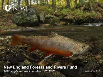 New England Forests and Rivers Fund  2020 Applicant Webinar, March 25, 2020  Eastern Brook Trout A