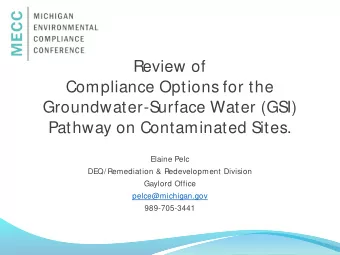 Review of  Compliance Options for the  Groundwater-Surface Water (GSI)  Pathway on Contaminated