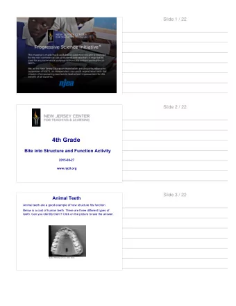 Slide 4 / 22  Incisors  Different animals have different amounts and types of incisors.  Humans
