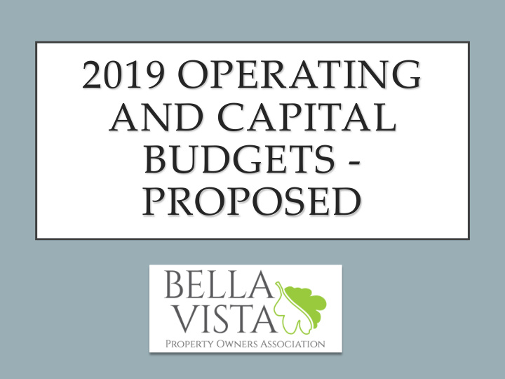 2019 operating and capital budgets proposed there is a