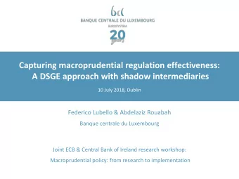 Capturing macroprudential regulation effectiveness:  Titre  A DSGE approach with shadow