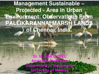 Environment: Observations From  PALLIKARANNAI MARSH LANDS  of Chennai, India.  Dr. M. SAKTHIVEL
