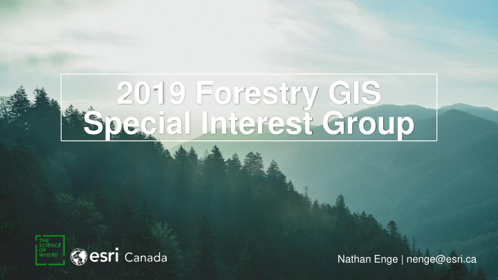 2019 forestry gis