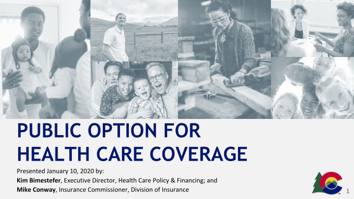 public option for health care coverage