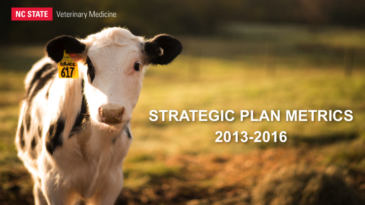 strategic plan metrics 2013 2016