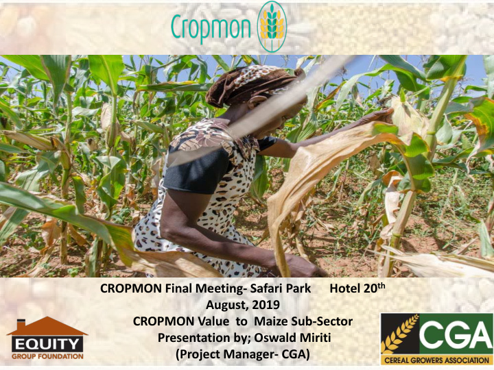 august 2019 cropmon value to maize sub sector