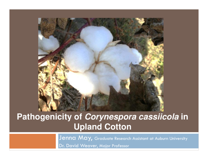 pathogenicity of corynespora cassiicola in upland cotton