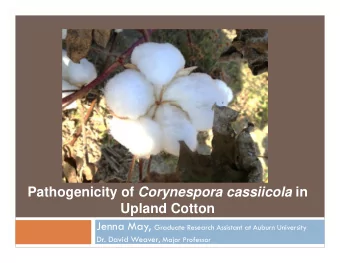 Pathogenicity of Corynespora cassiicola in  Upland Cotton Jenna May, Graduate Research Assistant at