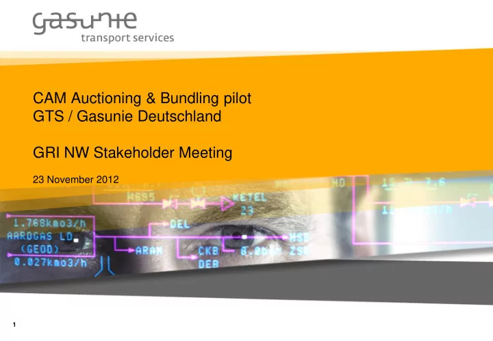 cam auctioning bundling pilot gts gasunie deutschland gri
