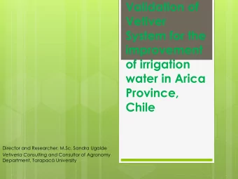 System for the  improvement  of irrigation  water in Arica  Province,  Chile  Director and