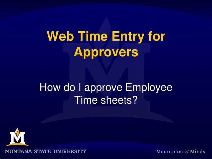 web time entry for