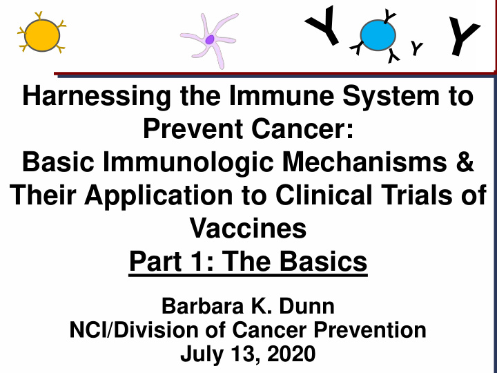 harnessing the immune system to prevent cancer basic