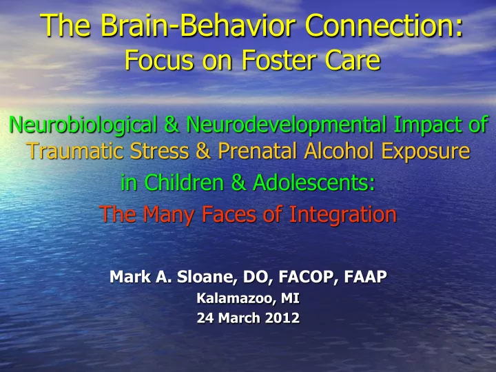 the brain behavior connection
