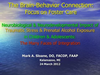 The Brain-Behavior Connection:  Focus on Foster Care  Neurobiological &amp; Neurodevelopmental