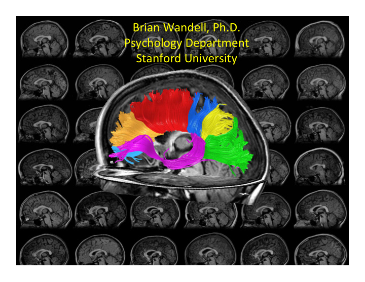 brian wandell ph d psychology department stanford