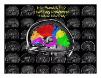 Brian Wandell, Ph.D. Psychology Department Stanford University  Purpose  Explain measurements of