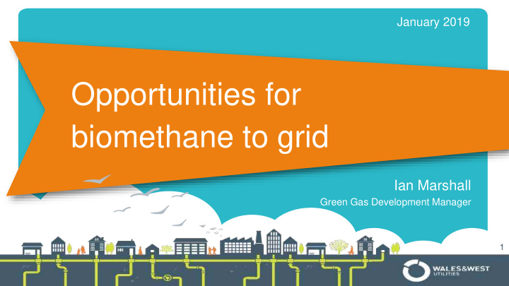 opportunities for biomethane to grid