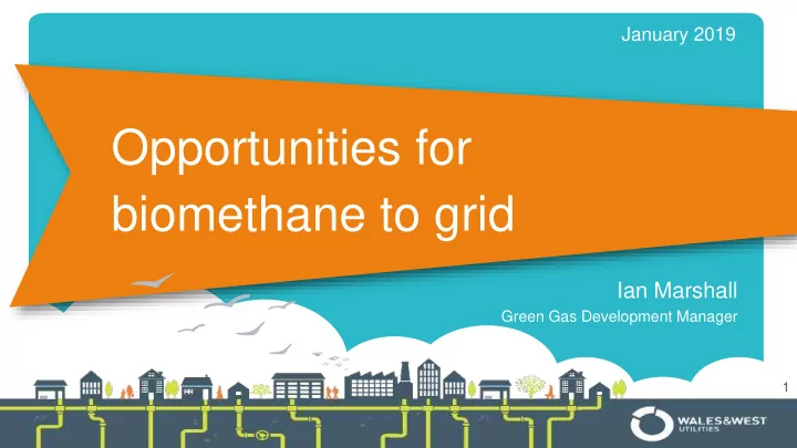 opportunities for biomethane to grid
