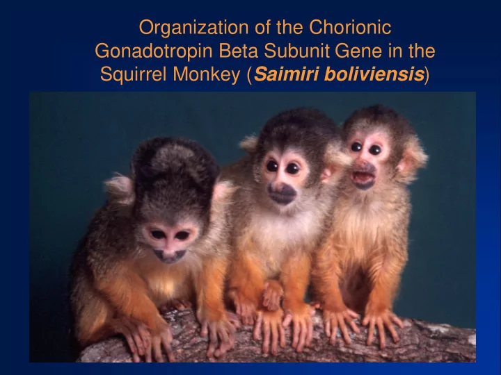 gonadotropin beta subunit gene in the