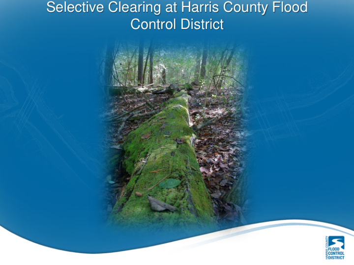 selective clearing at harris county flood control district