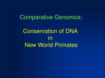 Conservation of DNA  in  New World Primates  Isolation of the Chorionic Gonadotropin  Gene Promoter