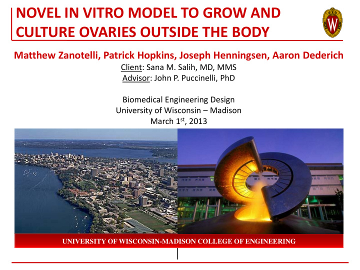 novel in vitro model to grow and