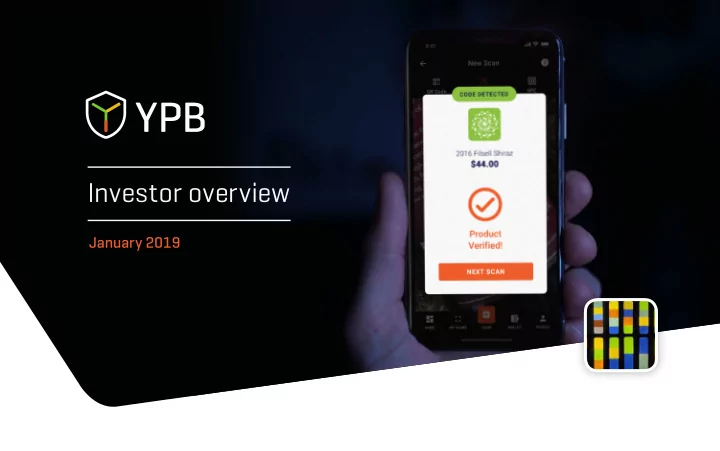 investor overview
