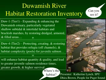 Duwamish River  Can you  Habitat Restoration Inventory  see it?  Duw-1 (Tier1) - Expanding &amp;