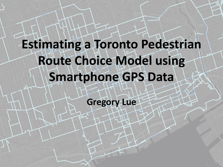 route choice model using