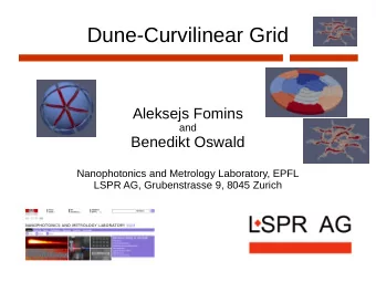 Dune-Curvilinear Grid  Aleksejs Fomins  and  Benedikt Oswald  Nanophotonics and Metrology