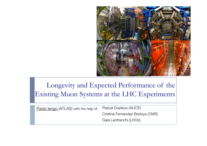 longevity and expected performance of the existing muon