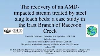 The recovery of an AMD-  impacted stream treated by steel  slag leach beds: a case study in  the